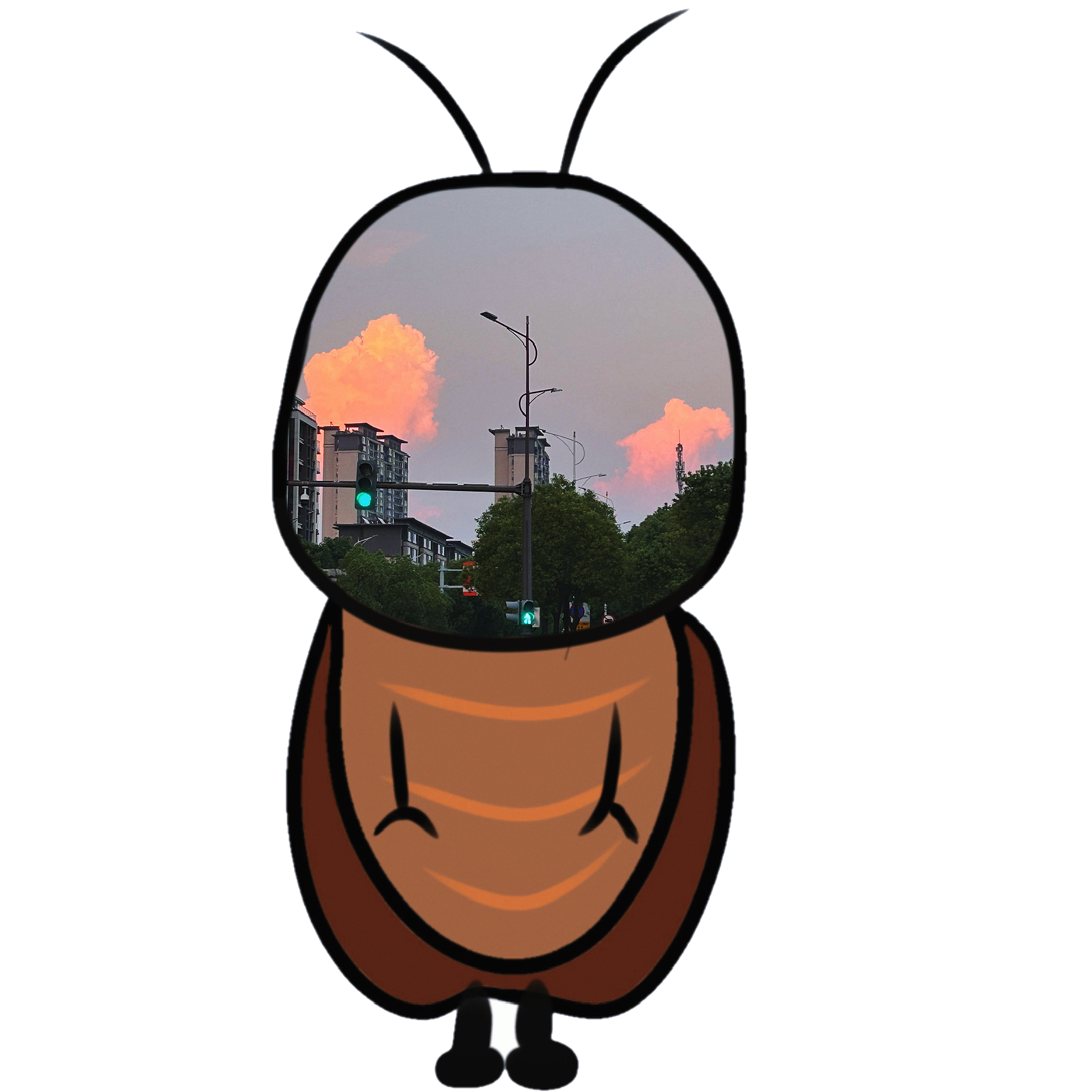 亿万富翁的世界